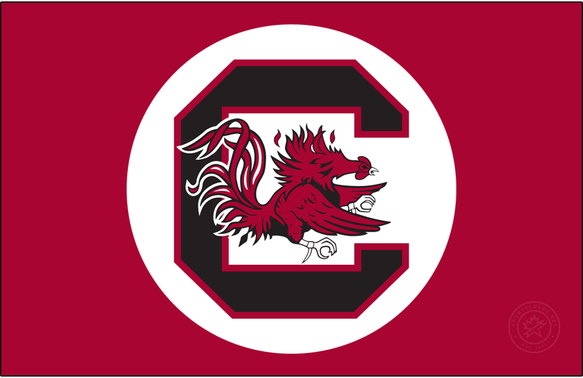 South Carolina Gamecocks 1983-1998 Secondary Logo diy DTF decal sticker